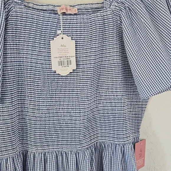 NWT IVY CITY BLUE GINGHAM DRESS SIZE 3X - Picture 3 of 3